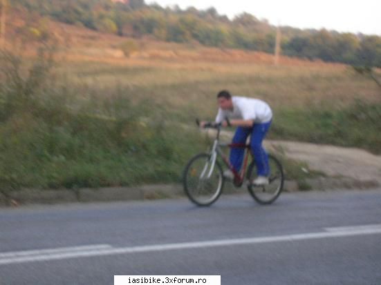 sindicate- releu iar bruce