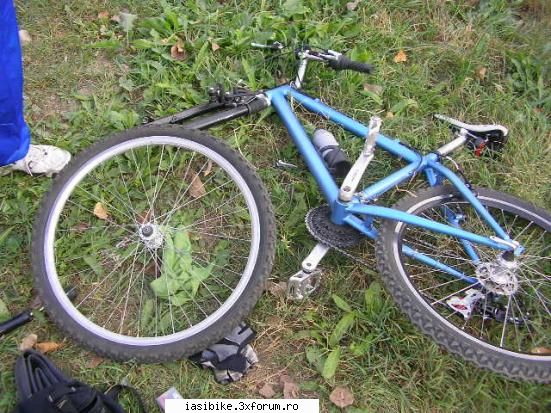 sindicate- releu mult iubita pana