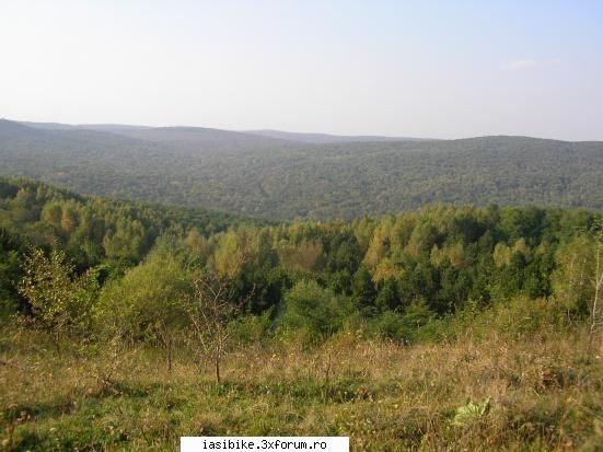 iasi hadambu priveliste superba