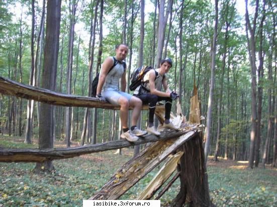 iasi hadambu scuze pentru calitate, baieti. miscat aparatu'.