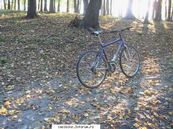 bicicleta mea merge si prin padure, chiar daca nu-i place. iasi - hadambu 2