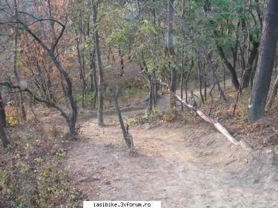 traseu cetatuia( dirt dh)