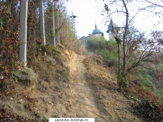 traseu cetatuia( dirt dh)