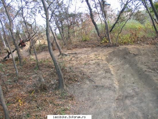 traseu cetatuia( dirt dh)