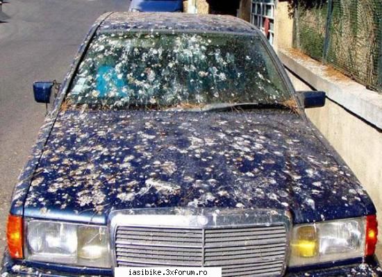 poze funny ...ca inveselim lumea acilea daca iubiti pasarile permiteti