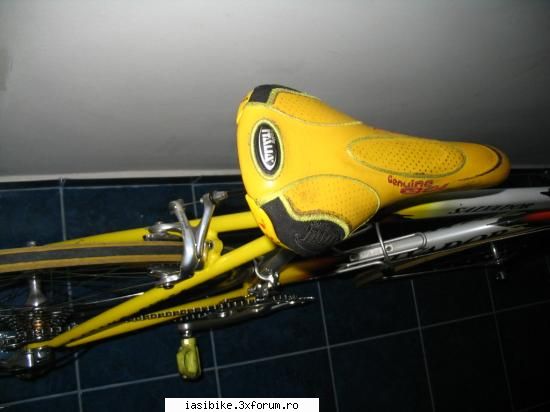 cursiera salvador italia alta