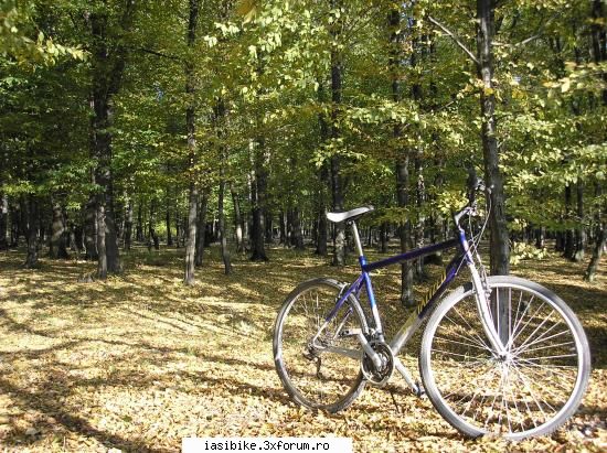 bike iaca jafurile mele:una-i noua, da-i cross.