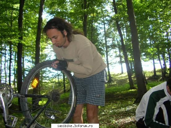 destinatia hadambu` reparand pana