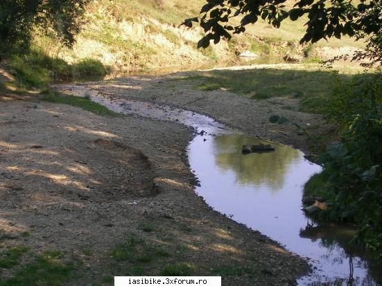 sarmale meteo frumos...