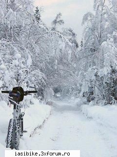 bike iarna xxx