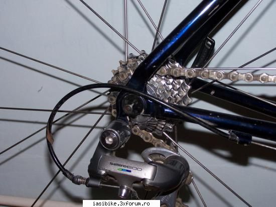 Cursiera de vanzare - rainbow - Vand