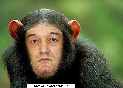 Poze funny ...ca sa inveselim lumea de acilea - nui asa cai scumpic?=)) - Evenimente si Discutii